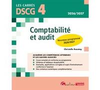 DSCG 4 - Comptabilité et audit Christelle Baratay (Auteur)