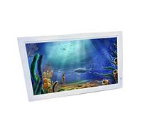 DSeenLeap Lecteur d'album Photo électronique Machine publicitaire Album Photo numérique avec écran IPS/Interface HDMI/1920 * 1080/lecteur de Musique d'images/Lecteur vidéo (Blanc)