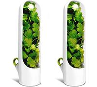 DSGDSF Lot de 2 boîtes de conservation d'herbes aromatiques pour réfrigérateur Conteneurs transparents pour coriandre, menthe, asperges