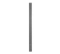 DSIT Conduit de câble Vertical 42U - 30 cm de Large
