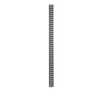 DSIT Conduit de câble Vertical 42U - Largeur 10cm