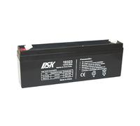 DSK Batterie AGM Plomb Étanche VRLA 12V 2,3Ah Rechargeable sans Entretien pour Alarmes, Sécurité, Jouets Électriques et UPS - Compatible bornes F1/F2