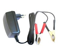DSK - Chargeur Automatique pour Batterie au Plomb, 12V, 1.000mAh
