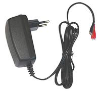 DSK - Chargeur Automatique pour Batterie au Plomb, 6V, 500mAh
