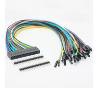 DSLRKIT Câble d'extension Dupont GPIO femelle 40 broches pour RPi, longueur 30 cm