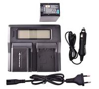 DSTE 2-Pack NP-FV100 Batterie + LCD Chargeur Compatible pour Sony DCR-SR15,DCR-SR21,DCR-SR68,DCR-SR88,DCR-SX15,DCR-SX21,DCR-SX44,DCR-SX45,DCR-SX63,DCR-SX65,DCR-SX83,DCR-SX85