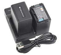 DSTE (2-Pack) NP-FV100 Li-ION Batterie + Chargeur USB Costume Compatible avec Sony DCR-SR15 SR21 SR68 SR88 SX15 SX21 SX44 SX45 SX63 SX65 SX83 SX85