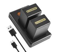 DSTE 2PCS NP-FH100 Batterie & Chargeur Compatible pour Sony DCR-DVD404E,DCR-DVD405,DCR-DVD406,DCR-DVD408,DCR-DVD450