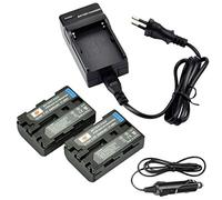 DSTE 2pcs NP-FM50 NP-FM55H Batterie et DC01E Voyage Chargeur Compatible pour Sony CCD-TR108 CCD-TR208 CCD-TR408 CCD-TR748 CCD-TRV106 DCR-TRV820 CCD-TRV96 K DCR-HC42 DCR-HC42E