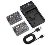 DSTE 2PCS NP-FP50 Batterie et Chargeur Compatible avec Sony DCR-30, DCR-DVD105, DCR-DVD202E, DCR-DVD203E, DCR-DVD205E, DCR-DVD304E, DCR-DVD305