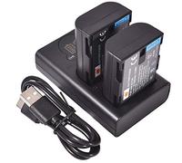 DSTE 2X DMW-BLF19E Batterie de Rechange + Chargeur Double USB avec écran LCD Compatible pour DMW-BLF19 et Panasonic Lumix DMC-GH3, DMC-GH3GK, DMC-GH3H,DMC-GH3HGK, DMC-GH3KBODY,DMC-GH4H, DMC-GH4