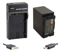 DSTE Batterie Li-ion et chargeur micro USB compatible avec Panasonic CGA-D54, CGA-D54S, CGR-D54S, AG-DVC180A, AG-DVC30, AG-DVC60