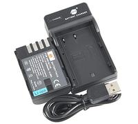 DSTE DMW-BLF19E Batterie Li-ION et Chargeur Micro USB Compatible avec Panasonic DMW-BLF19 Lumix DMC-GH3 DMC-GH3A DMC-GH3AGK DMC-GH3GK DMC-GH4