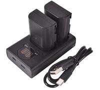 DSTE DMW-BLF19E Batterie (Paquet de 2) et Double Chargeur Compatible avec Panasonic Lumix DMC-GH3 DMC-GH3A DMC-GH3GK DMC-GH3H DC-G9GK-K