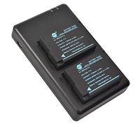 DSTE Lot de 2 Batteries de Rechange DMW-BLC12 + Double Chargeur USB compatibles avec Panasonic Lumix DMC-G5 DMC-G6 DMC-GH2 DMC-FZ200