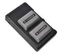 DSTE Lot de 2 Batteries de Rechange NP-FP50 + Double Chargeur USB Compatible avec Sony DCR-SR50 DCR-SR60 DCR-SR70 DCR-SR80 DCR-SR90 DCR-SR100 HDR-HC3