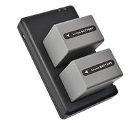DSTE Lot de 2 Batteries de Rechange NP-FP90 + Double Chargeur USB Compatible avec Sony DCR-HC46 DCR-HC65 DCR-HC85 DCR-HC96 DCR-SR80 DCR-SR100 HDR-HC3