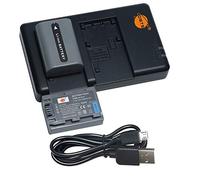 DSTE Lot de 2 batteries et chargeur micro USB compatible avec NP-FP50 et Sony DCR-DVD103, DCR-DVD105, DCR-DVD203, DCR-DVD205, DCR-DVD305, DCR-DVD92, DCR-HC20 en NP-FP30