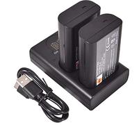 DSTE Lot de 2 Piles de Rechange DMW-BLJ31 + Chargeur USB Double avec écran LCD Compatible avec DMW-BLJ31e et Panasonic LUMIX S1, LUMIX S1R, LUMIX S1H, DMW-BGS1R