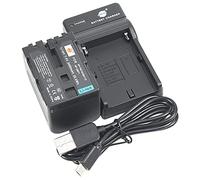 DSTE NP-FM70 Batterie Li-ION et Chargeur Micro USB Compatible avec Sony NP-QM71 NP-QM71D DCR-PC115 DCR-PC120 DCR-PC330 DCR-TRV25 DCR-TRV27 DCR-TRV30 DCR-TRV33
