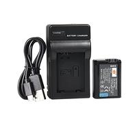 DSTE NP-FW50 Batterie Li-Ion et chargeur micro USB compatible pour appareil photo numérique Sony Alpha 7, a7, Alpha 7R, a7R, Alpha 7R II, Alpha a3000, a6000, NEX-7, SLT-A55V, DSC-RX10