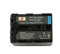 DSTE Rechange Batterie pour Sony NP-QM91D CCD-TRV118 CCD-TRV128 CCD-TRV138 CCD-TRV228 CCD-TRV308 CCD-TRV318 CCD-TRV328 CCD-TRV338 DCR-DVD100 DCR-DVD101 DCR-DVD200 DCR-DVD201 DCR-DVD300 DCR-DVD301 DCR-HC14