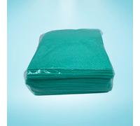 DSTOCK60- Lot de 50 lavettes Non tissées ajourées Vertes HACCP (32x40cm)