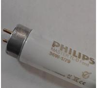 DSTOCK60 - Tube Fluorescent 36W-1/79 Longuer: 97 cm Compatible avec Philips TL-D lm Food Pro - 8711500706256