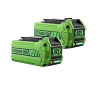 DSYYNAY Lot de 2 batteries lithium-ion 40 V 6 Ah de rechange pour tondeuses à gazon et outils électriques, compatibles avec GreenWorks G-MAX