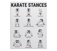 DSZUJTYROP Essential Karate Stances Chart Poster For Dojo Workout Room Canvas Wall-Art(Unframed,16x24inch(40x60cm))