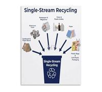 DSZUJTYROP Recycling Guide Poster Garbage Sorting Chart Educational Canvas Wall-Art for School Home Eco Friendly(Unframed,08x12inch(20x30cm))