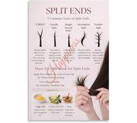 DSZUJTYROP Split End Damage Types Poster Hair Salon Infographic | Essential guide for stylists to diagnose and treat hair damage(Framed,12x18inch(30x45cm))