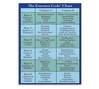 DSZUJTYROP The Emotion Code Reference Poster Emotional Guidance Chart for Self Reflection Canvas Wall-Art for Study or Home Decor(Framed,08x12inch(20x30cm))