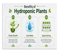 DSZUJTYROP Water Culture Poster for Indoor Gardening Visual Display（1） | Supports Year Round Harvests with Clear Growing Illustrations(Unframed,16x24inch(40x60cm))