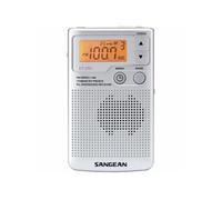 -DT-250 - Radio portable - argent