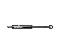 DT Ressort pneumatique paravent pour SCANIA 4 - series P,G,R,T - series