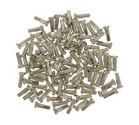 DT Swiss Écrous en Laiton 2,0 mm - 100 pièces gris 16 mm