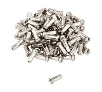 DT Swiss Écrous en Laiton Pro Head 2,0 mm - 100 pièces argenté 12 mm