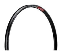 Dt Swiss Xm 481 29´´ 30 Mm Std Vi Disc Tubeless Mtb Rim Argenté 29´´ 32H Black