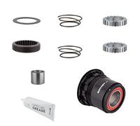 Dt Swiss Ratchet Ln Mtb Sram Xd Service Kit Gris Black / Grey