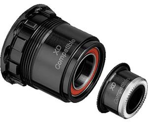 DT Swiss Kit de Conversion de moyeu Libre à cliquet pour SRAM XD, 135/10 mm