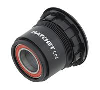 DT Swiss Kit de Mise à Niveau 3 Pawl en Ratchet LN gris SRAM XD