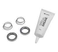 Service kit dt swiss ratchet 54 dents