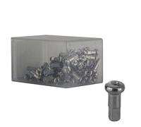 DT Swiss Laiton Écrou de Rayon 1.8 x 12mm Argent Boîte de 100