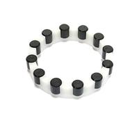 DT Swiss Needle Cage à Aiguilles Complet pour moyeu arrière Onyx