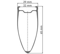Dt Swiss Roue Arrière De Route Arc 1100 Dicut 65 isc Tubeless + Continental Gp5000 Str 30-622