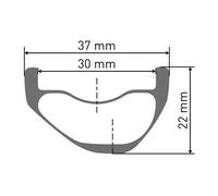 Dt Swiss Roue Arrière De Vtt Xmc 1200 Spline® 27.5´´ 6b Disc Tubeless