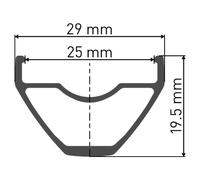 Dt Swiss Roue Arrière X 1900 Spline 25 29´´ Cl Disc Tubeless