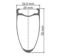 Dt Swiss Roue Avant De Route Arc 1100 Dicut 50 Disc Cl Tubeless + Continental Aero 111 700 X 26