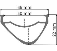 DT Swiss Roue EX 1700 Spline 30 Disc 6-trous 29"